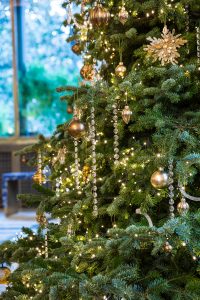 Be Flower - Christmas Event - 11-12-2018 - Villa Necchi Milano