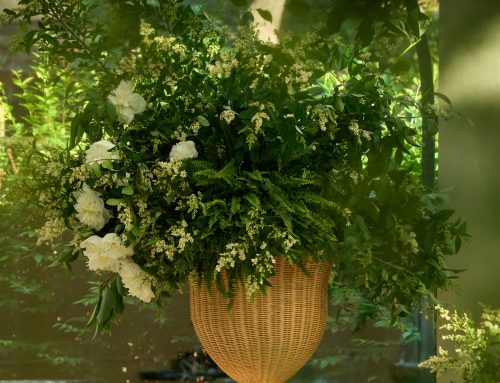 Un Giardino IncantatoAn Enchanted Garden